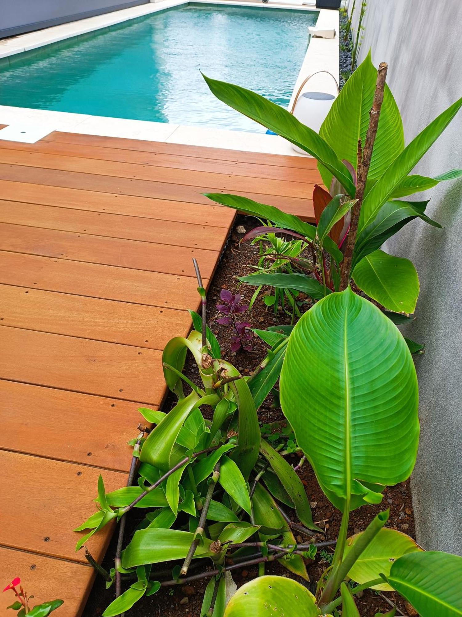 Villa O'Lhaya Piscine Pivee 생조세프 외부 사진
